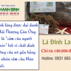 Mua bán lá đinh lăng ở huyện Bình Chánh giúp chữa sưng vú uy tín nhất