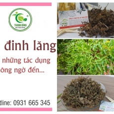 Mua bán lá đinh lăng ở huyện Hóc Môn có công dụng giúp da đẹp hơn an toàn nhất