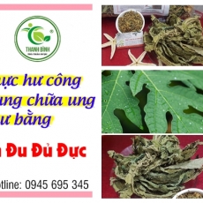 Mua bán lá đu đủ đực ở quận Tân Bình giúp chữa trị viêm loét dạ dày tốt nhất