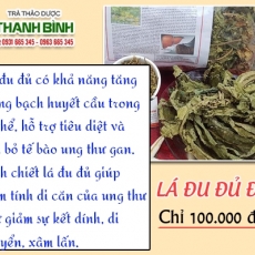 Mua bán lá đu đủ đực ở quận Tân Bình giúp tăng sức đề kháng tốt nhất