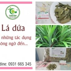 Mua bán lá dứa ở huyện Hóc Môn có công dụng giúp hệ tiêu hóa khỏe mạnh an toàn nhất