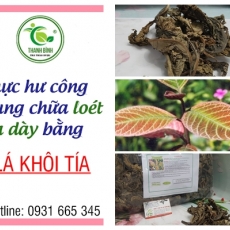 Mua bán lá khôi tía ở huyện Hóc Môn có công dụng giúp giảm sốt xuất huyết dạ dày an toàn nhất