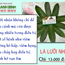 Mua bán lá lưỡi nhân ở quận Bình Tân có công dụng trị ho ra máu tốt nhất