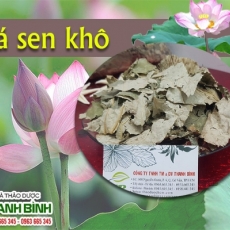 Mua bán lá sen khô ở quận Phú Nhuận trị sốt xuất huyết hiệu quả nhất
