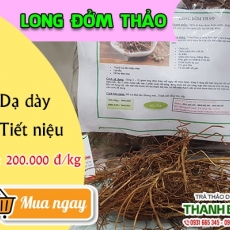 Mua bán long đởm thảo ở huyện Hóc Môn giúp thanh nhiệt giải độc hiệu quả nhất