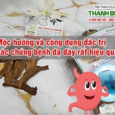 Mua bán mộc hương ở huyện Bình Chánh giúp ức chế nhu động ruột hiệu quả nhất