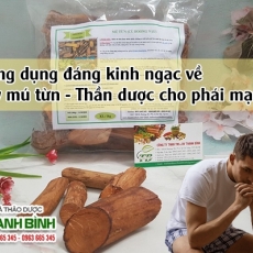 Mua bán mú từn ở quận Bình Tân có công dụng trị gai cột sống tốt nhất