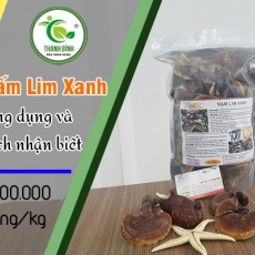 Mua bán nấm lim xanh ở huyện Bình Chánh giúp chữa  đau dạ dày uy tín nhất
