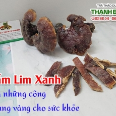 Mua bán nấm lim xanh ở quận Phú Nhuận trị thấp khớp hiệu quả nhất
