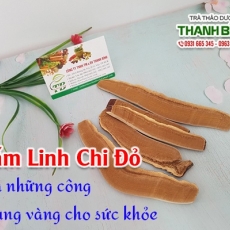 Mua bán nấm linh chi ở huyện Hóc Môn có công dụng giúp đẹp da an toàn nhất