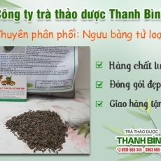 Mua bán ngưu bàng tử ở quận Bình Tân có công dụng trị viêm phổi tốt nhất