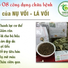 Mua bán nụ vối lá vối ở huyện Hóc Môn có công dụng giúp giảm cân an toàn nhất