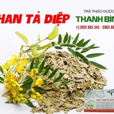 Mua bán phan tả diệp tại quận Thanh Xuân giúp tăng cường nhu động ruột