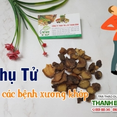 Mua bán phụ tử ở quận Tân Phú có tác dụng chống viêm hiệu quả tốt