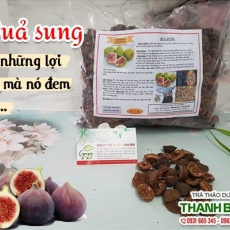 Mua bán quả sung ở quận Phú Nhuận trị táo bón hiệu quả nhất