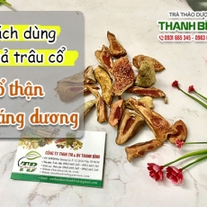 Mua bán quả trâu cổ ở huyện Hóc Môn có công dụng giúp bổ thận tráng dương an toàn nhất