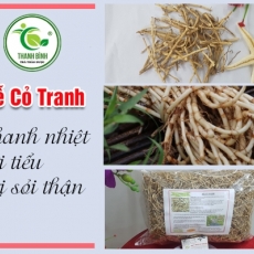 Mua bán rễ cỏ tranh ở huyện Bình Chánh giúp giải cảm hiệu quả nhất