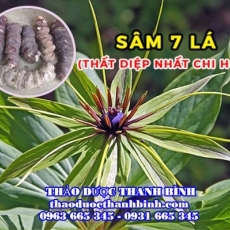 Mua bán sâm 7 lá - Thất diệp nhất chi hoa tại Bình Thuận giúp ức chế tế bào ung thư hiệu quả