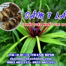 Mua bán sâm 7 lá - Thất diệp nhất chi hoa tại huyện Ba Vì  chữa sốt cao co giật hiệu quả