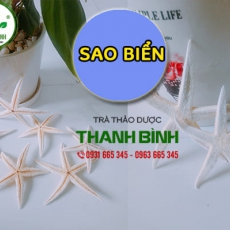 Mua bán sao biển tại huyện Thanh Oai giúp ngăn ngừa xơ vữa động mạch tốt nhất