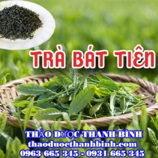 Mua bán trà Bát Tiên tại huyện Ba Vì có tác dụng giảm huyết áp hiệu quả