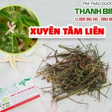 Mua bán xuyên tâm liên ở quận Tân Phú giúp cải thiện bệnh viêm gan B
