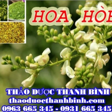 Mua hoa hòe ở đâu tại Bình Thuận an toàn hiệu quả ???